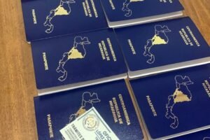 Trámites para Renovar el Pasaporte Nicaragüense en Estados Unidos